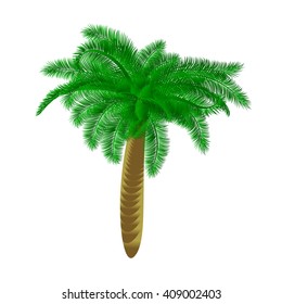 Isolated Palm tree.Vector Illustration