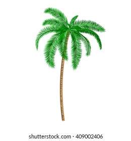 Isolated Palm tree.Vector Illustration