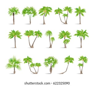 Isolated palms set on white background. Tropic exotic landscape.