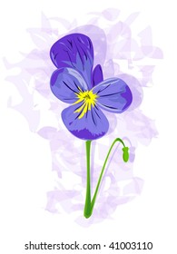 Isolated pansy on violet background