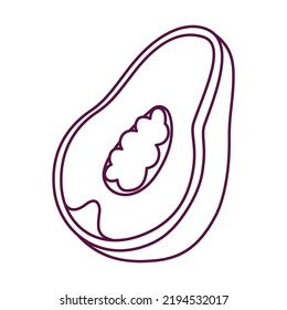 Isolated papaya draw beach vector illustration