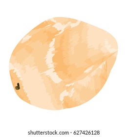 Isolated papaya on a white background, Vector illustration
