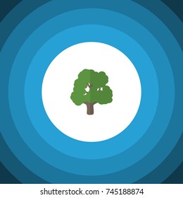 Isolated Park Flat Icon. Decoration Tree Vector Element Can Be Used For Tree, Park, Wood Design Concept.