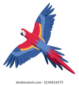 Isolated Parrot Flying Colombian Bird Vector Illustration