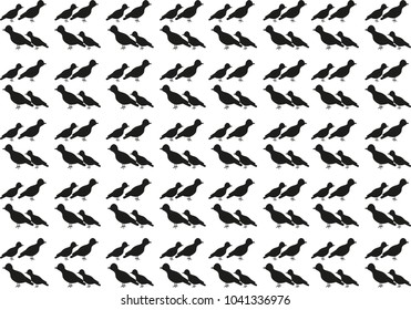 Isolated pattern of black bird silhouettes