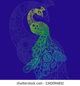 Isolated peacock with greenish tint on dark blue background.