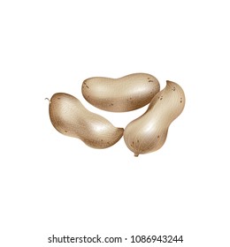 Isolated peanut on white background

