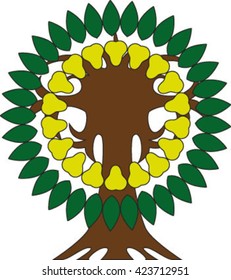 Isolated pear tree, cartoon vector