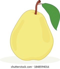 Isolated pear vector art and graphics