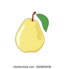 Isolated pear vector art and graphics