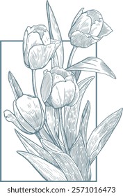 Isolated, pen and ink style, bunch of tulips illustration.