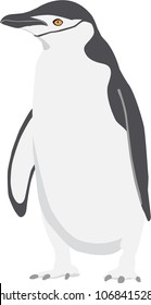 Isolated penguin vector real-alike, cartoon illustration