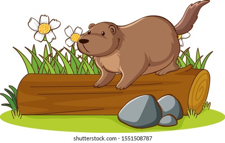 Isolated picture of beaver on log illustration