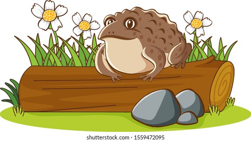 Isolated picture of brown toad on log illustration