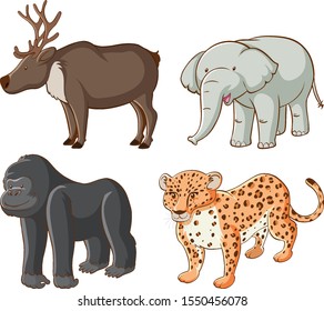 Isolated picture of different animals illustration