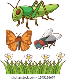 Isolated picture of different bugs illustration