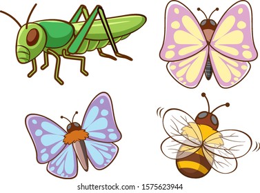 Imagen aislada de diferentes insectos
