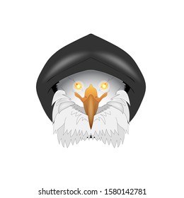 isolated picture of an eagle with glowing eyes in a hood.vector illustration