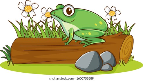 Imagen aislada de la rana en la ilustración del registro