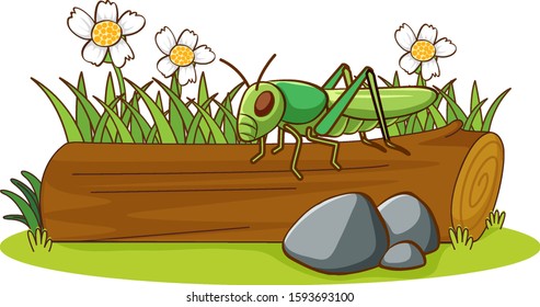 Isolated picture of grasshopper on log illustration