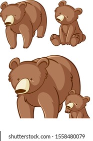 Isolated picture of grizzly bears illustration