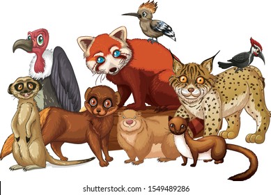 Isolated picture of many animal illustration