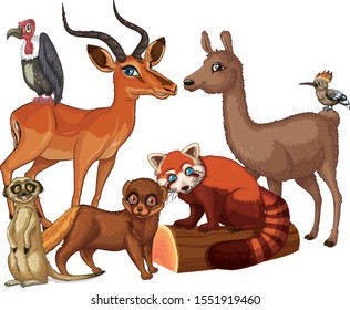 Isolated picture of many animals illustration