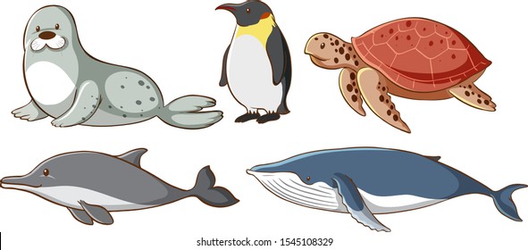 Isolated picture of sea creatures illustration