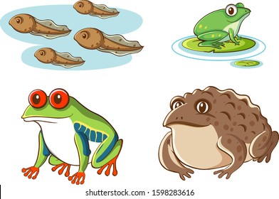 Isolated picture of tadpoles and frogs illustration