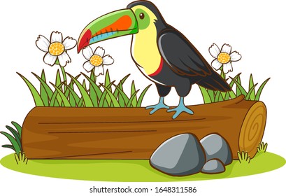 Isolated picture of toucan on the log illustration