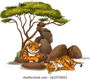 Isolated picture of two tigers under the trees illustration