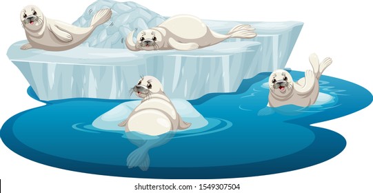 Isolated picture of white seals illustration