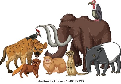 Isolated picture of wild animals illustration