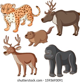 Isolated picture of wild animals illustration