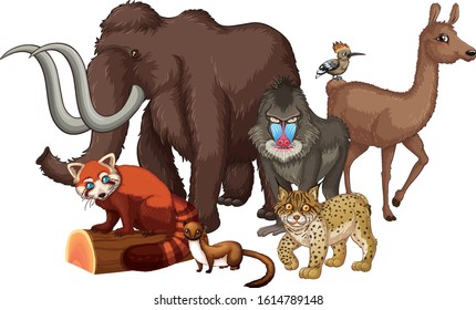 Isolated picture of wild animals illustration