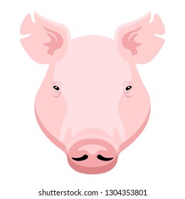 Isolated pig head image. Vector illustration design