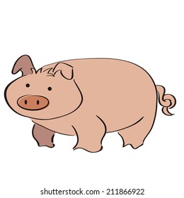 an isolated pig on a white background