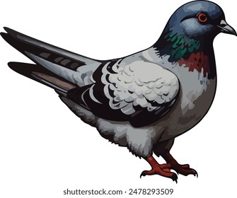 A isolated pigeon vector. illustrated pigeon