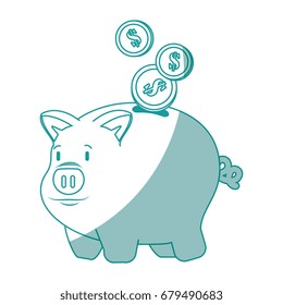 isolated piggy bank