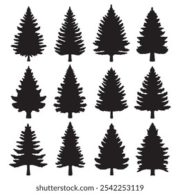 Isolated Pine on the white background. Pine silhouettes. Tree hand drawn. Vector EPS 10.	
