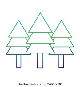 Isolated pine tree design 