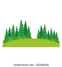 isolated pine tree plant design