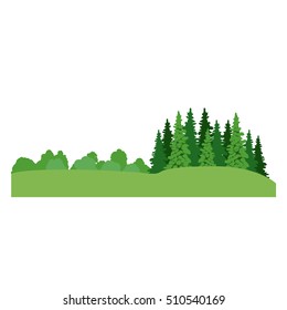 isolated pine tree plant design