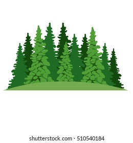 isolated pine tree plant design