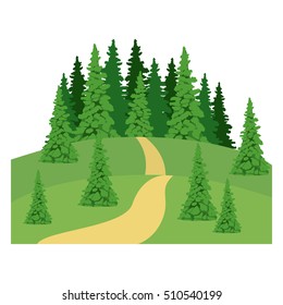 isolated pine tree plant design