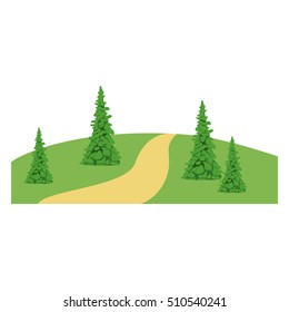 isolated pine tree plant design