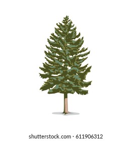 Isolated Pine Tree Vector