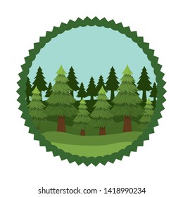 Isolated pine trees inside seal stamp design