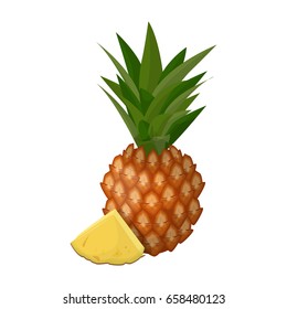 Isolated pineapple fruit.