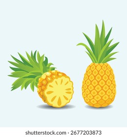 isolated Pineapple Fruit illustration EPS Vector
